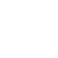 Cupra Service Logo